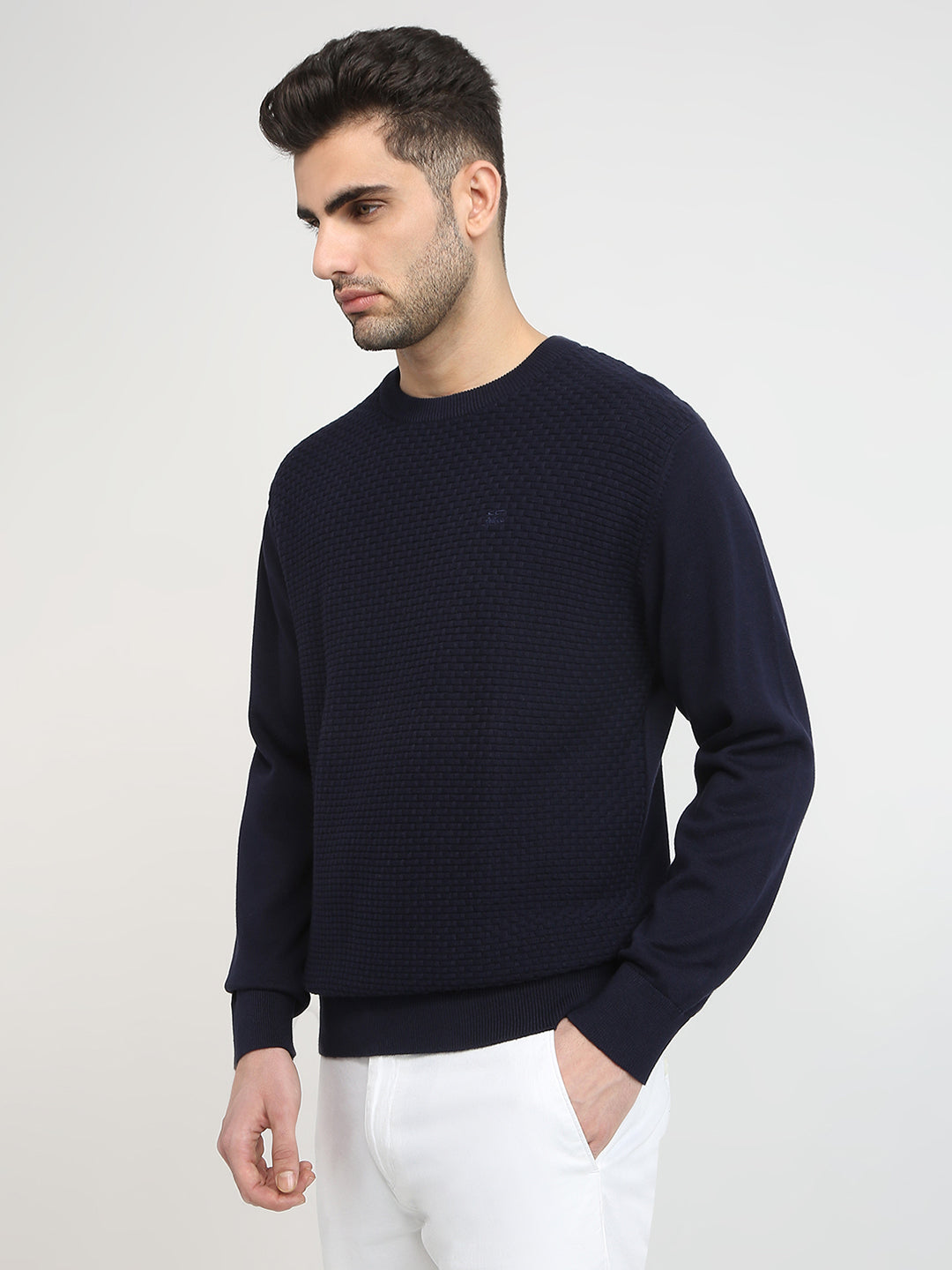 Colorplus Men Blue Jacquard Regular Fit Cotton Full Sleeve Round Neck Collar Sweater