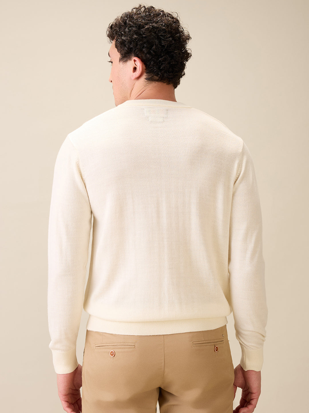 Colorplus Men White Solid Regular Fit Wool Blend Full Sleeve V Neck Collar Sweater