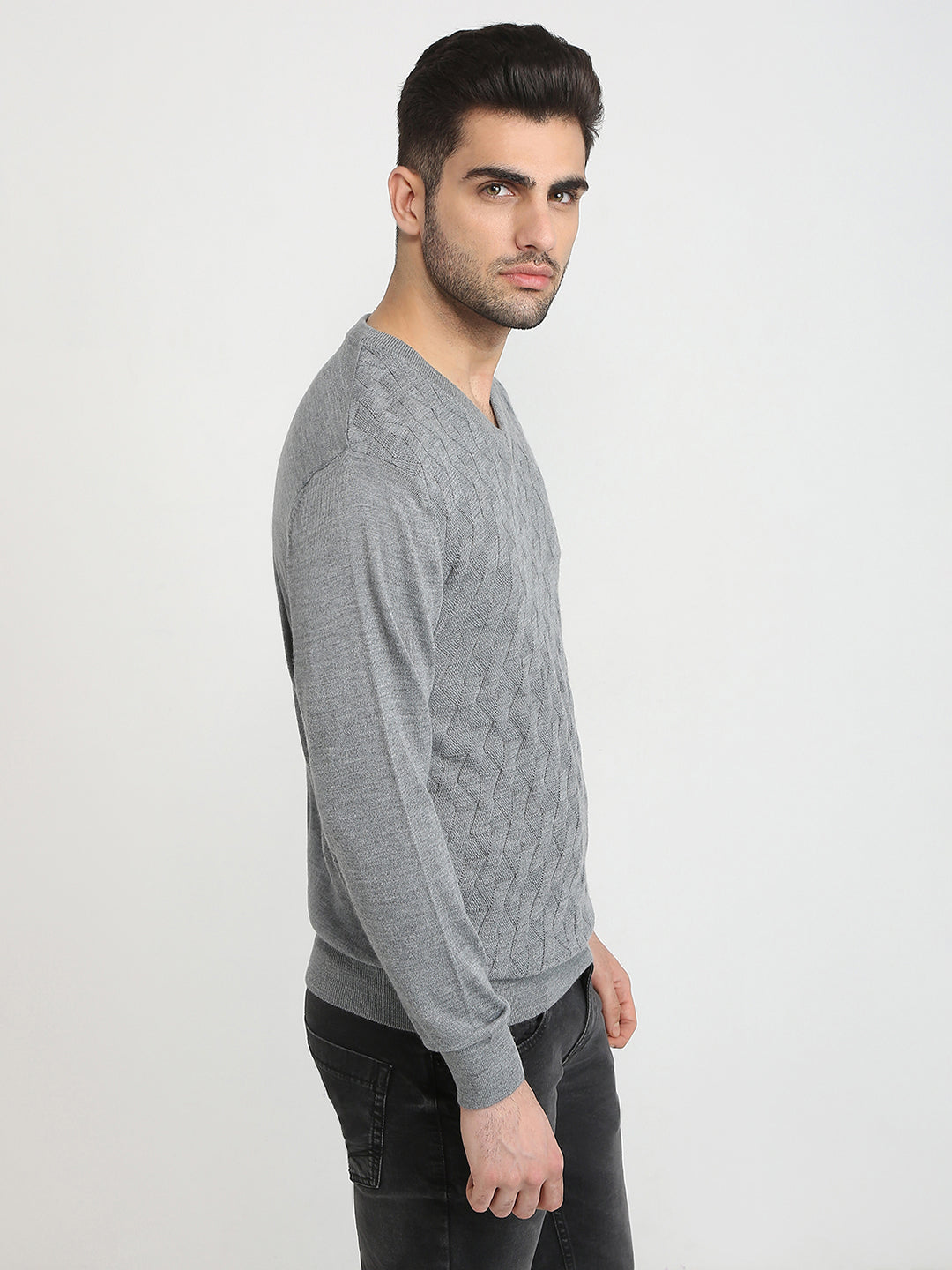 Colorplus Men Grey Solid Regular Fit Wool Blend Full Sleeve V Neck Collar Sweater