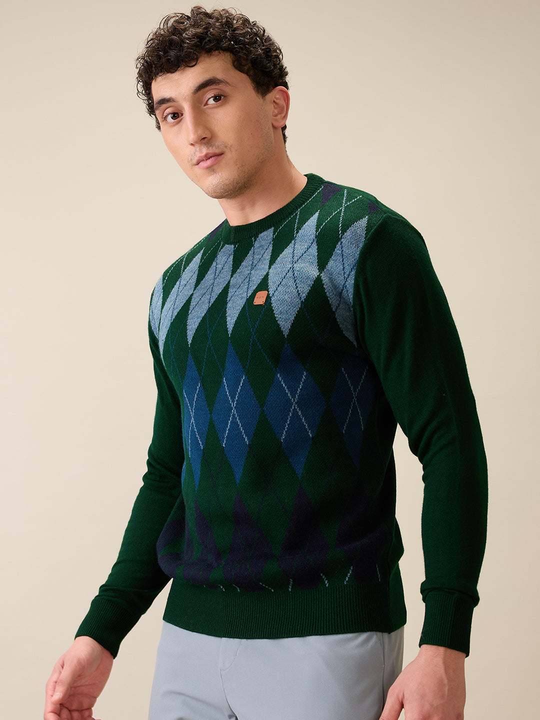 Colorplus Men Green Jacquard Regular Fit Acrylic Full Sleeve V Neck Collar Sweater