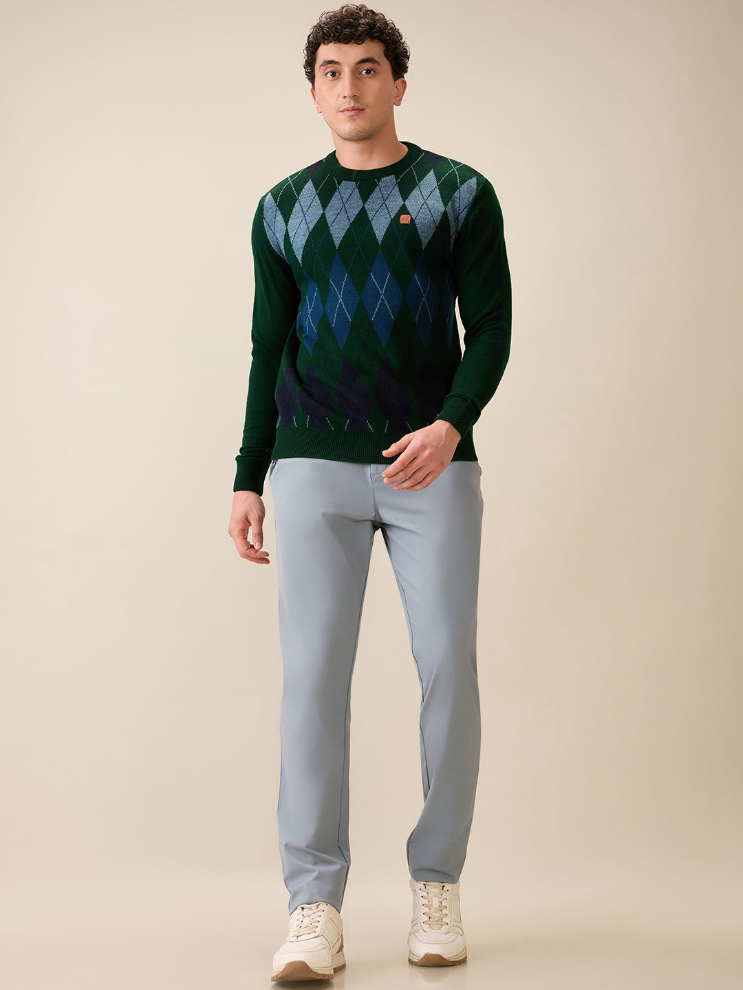 Colorplus Men Green Jacquard Regular Fit Acrylic Full Sleeve V Neck Collar Sweater