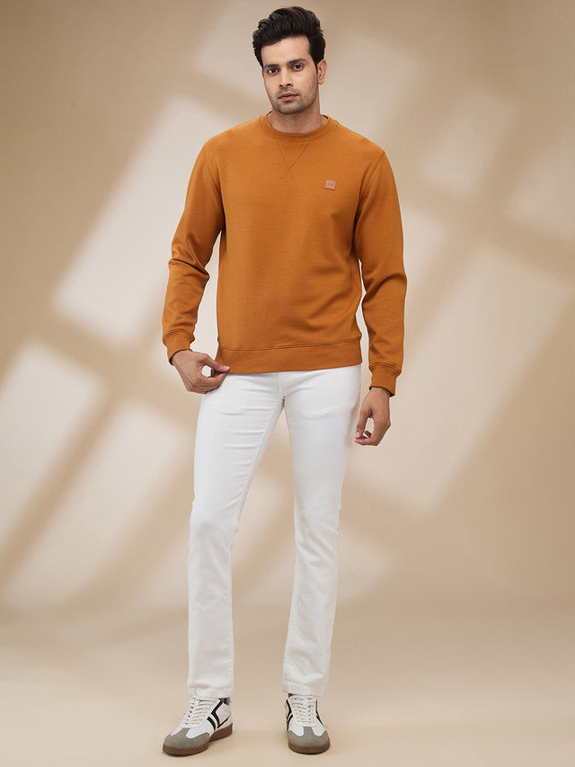 Colorplus Men Brown Solid Regular Fit Polyester Blend Sweatshirt