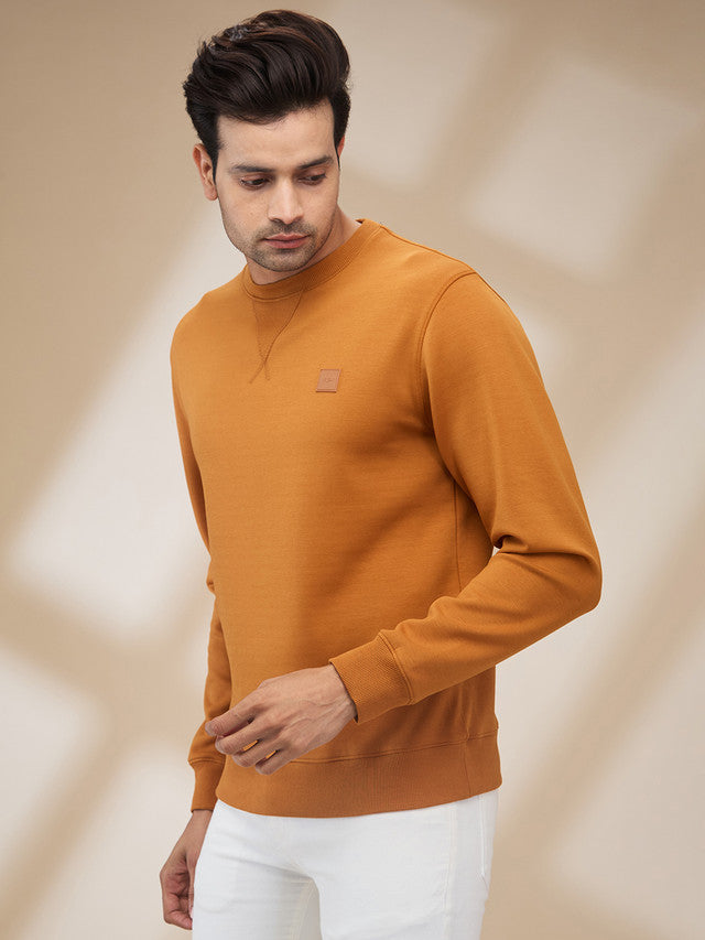 Colorplus Men Brown Solid Regular Fit Polyester Blend Sweatshirt