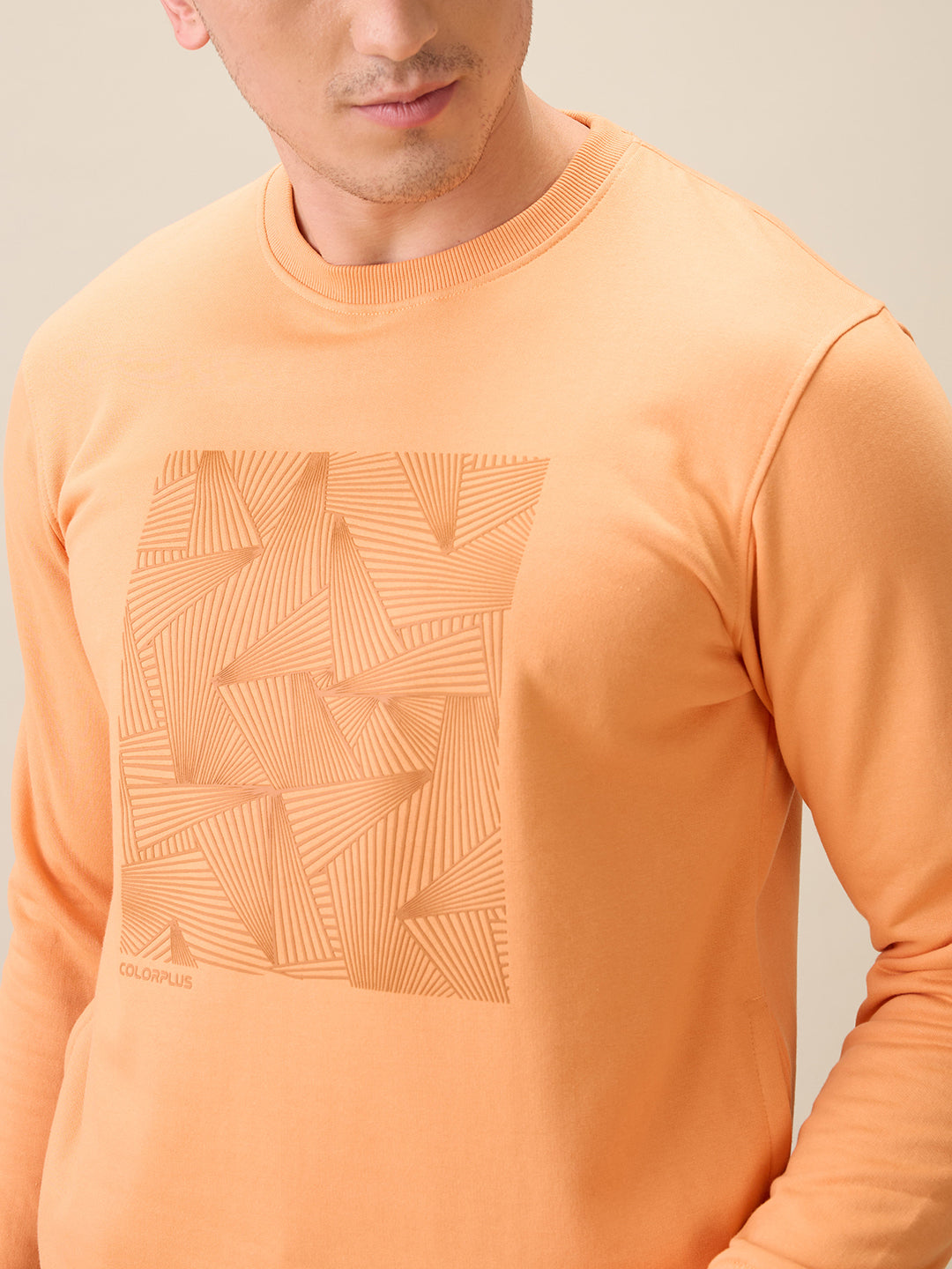 Colorplus Men Orange Printed Regular Fit Cotton Blend Full Sleeve Sweatshirt
