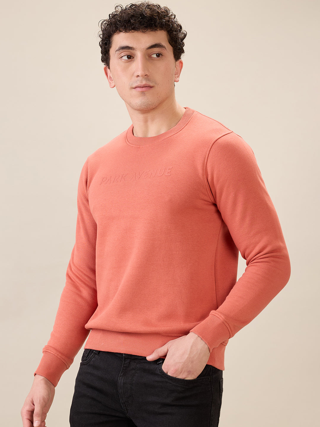 Park Avenue Men Red Solid Slim Fit Cotton Blend Round Neck Collar Sweatshirt
