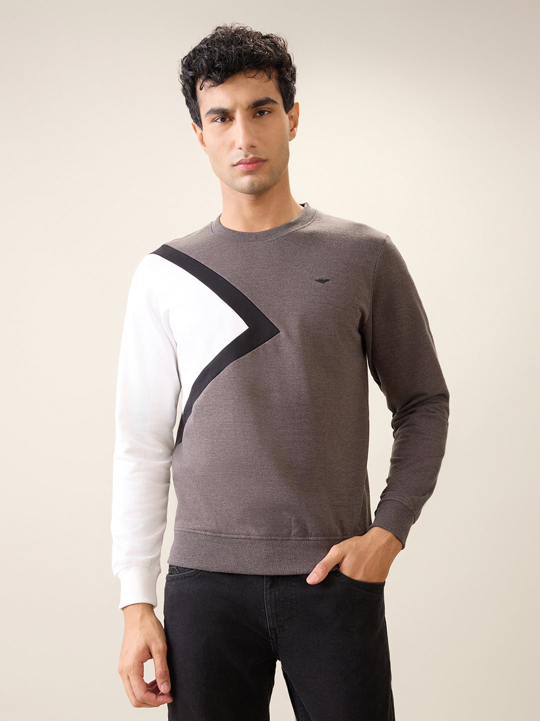 Park Avenue Men Black Cut & Sew Slim Fit Cotton Blend Crew Neck Collar Sweatshirt