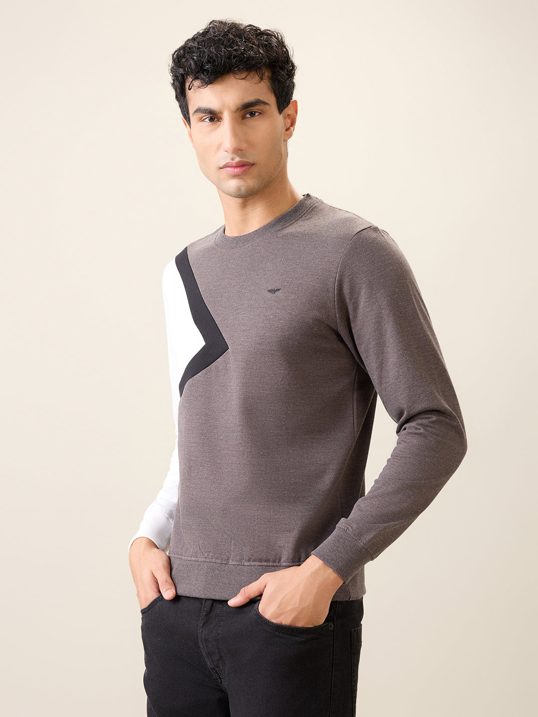 Park Avenue Men Black Cut & Sew Slim Fit Cotton Blend Crew Neck Collar Sweatshirt
