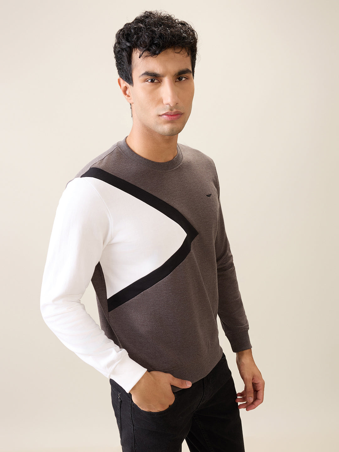 Park Avenue Men Black Cut & Sew Slim Fit Cotton Blend Crew Neck Collar Sweatshirt