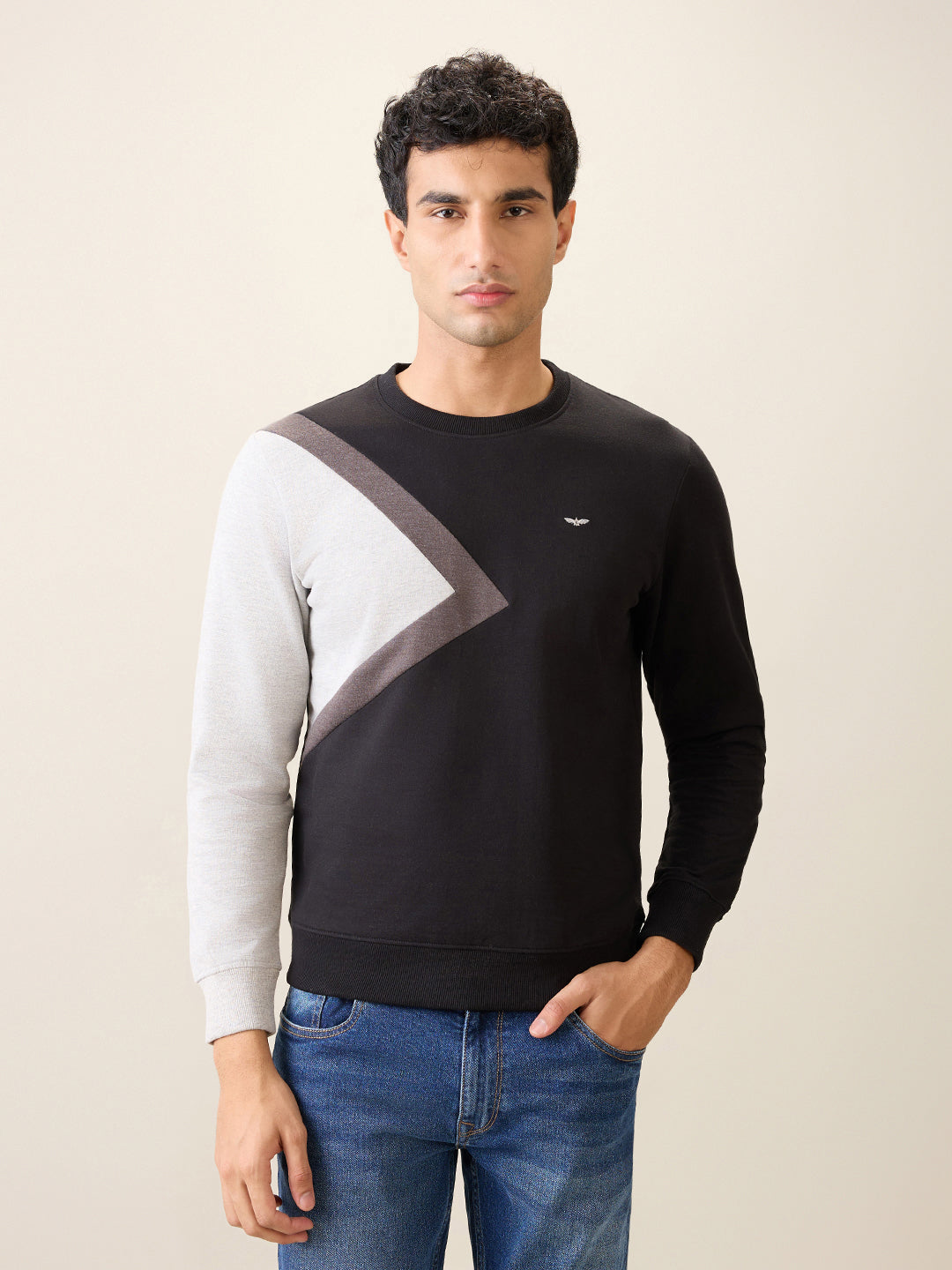 Park Avenue Men Black Cut & Sew Slim Fit Cotton Blend Crew Neck Collar Sweatshirt