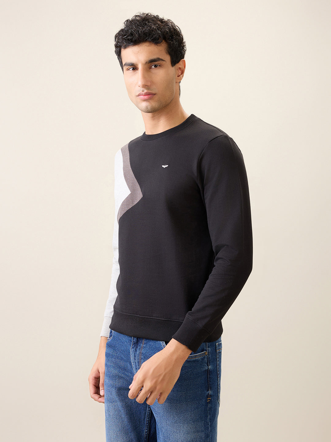 Park Avenue Men Black Cut & Sew Slim Fit Cotton Blend Crew Neck Collar Sweatshirt
