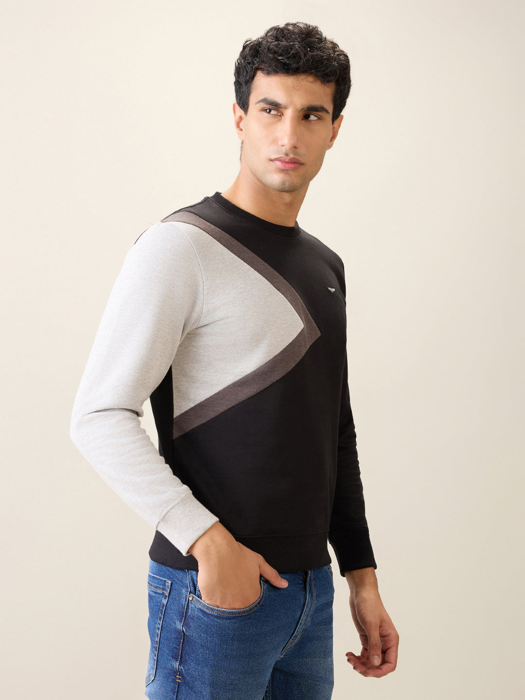 Park Avenue Men Black Cut & Sew Slim Fit Cotton Blend Crew Neck Collar Sweatshirt