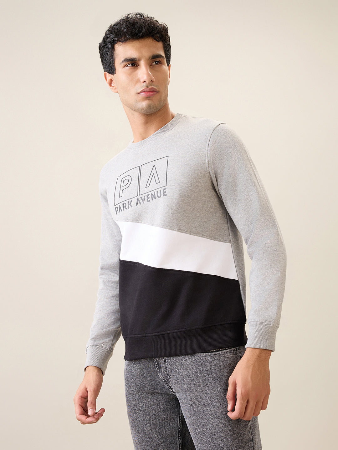 Park Avenue Men Grey Cut & Sew Slim Fit Cotton Blend Crew Neck Collar Sweatshirt