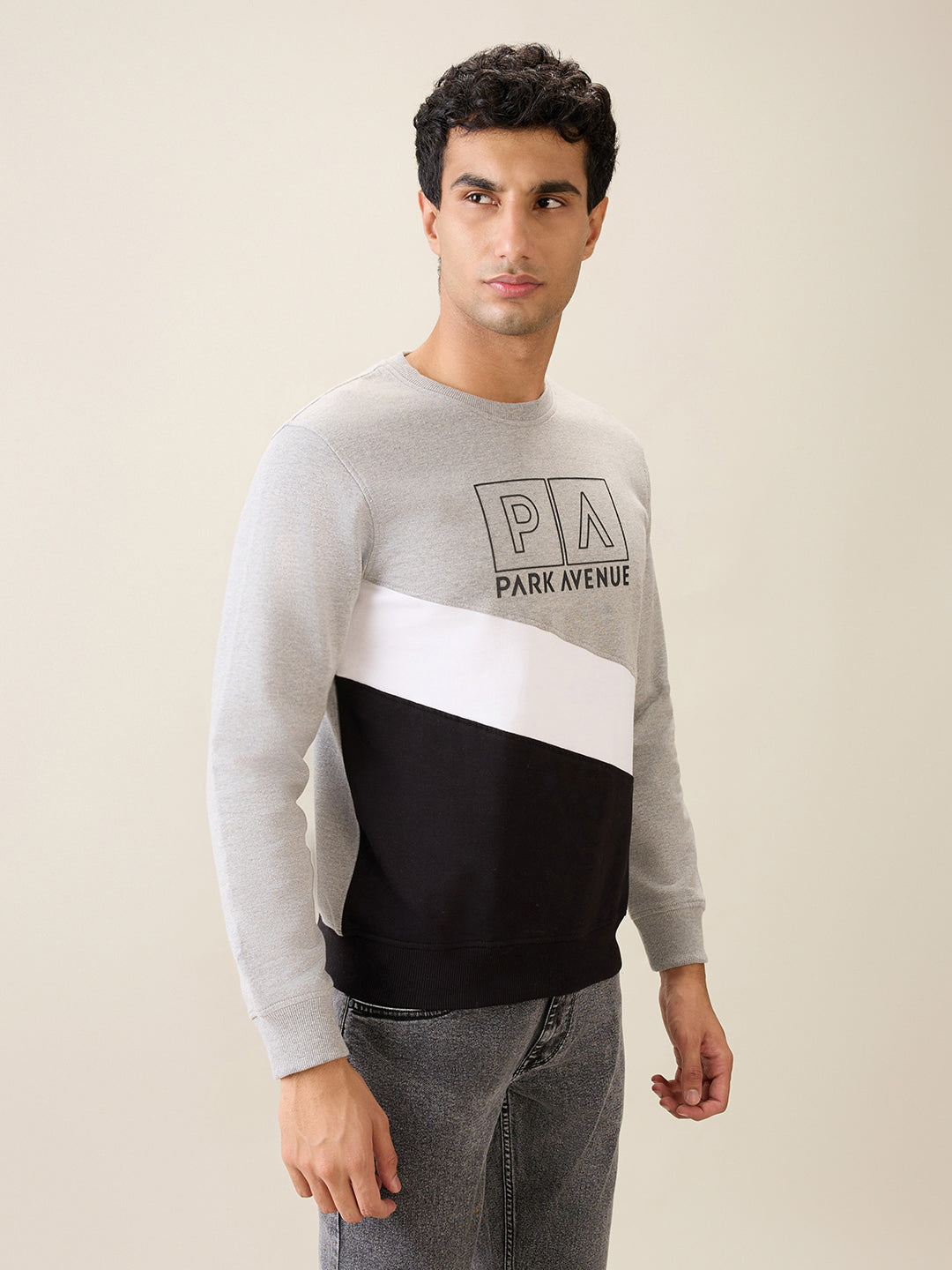Park Avenue Men Grey Cut & Sew Slim Fit Cotton Blend Crew Neck Collar Sweatshirt