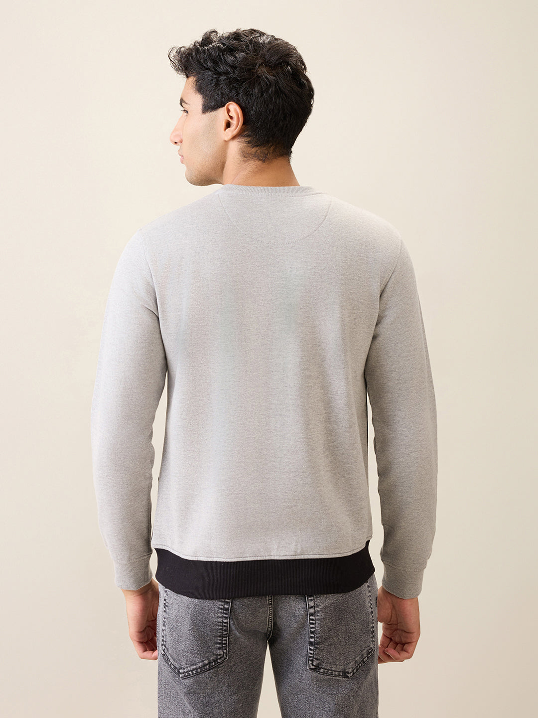 Park Avenue Men Grey Cut & Sew Slim Fit Cotton Blend Crew Neck Collar Sweatshirt