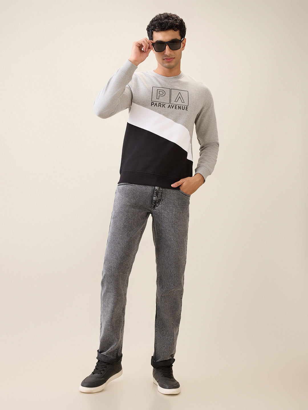 Park Avenue Men Grey Cut & Sew Slim Fit Cotton Blend Crew Neck Collar Sweatshirt