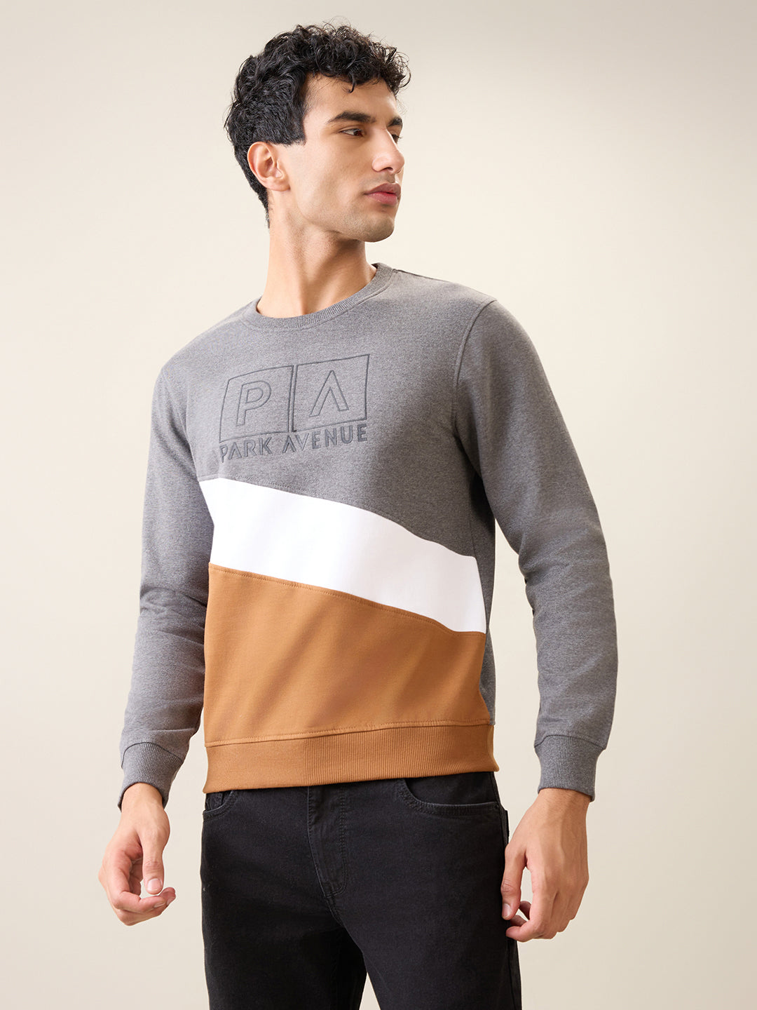 Park Avenue Men Black Cut & Sew Slim Fit Cotton Blend Crew Neck Collar Sweatshirt