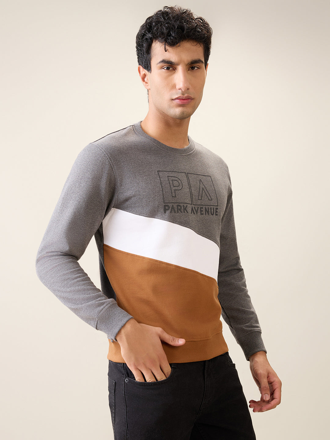 Park Avenue Men Black Cut & Sew Slim Fit Cotton Blend Crew Neck Collar Sweatshirt
