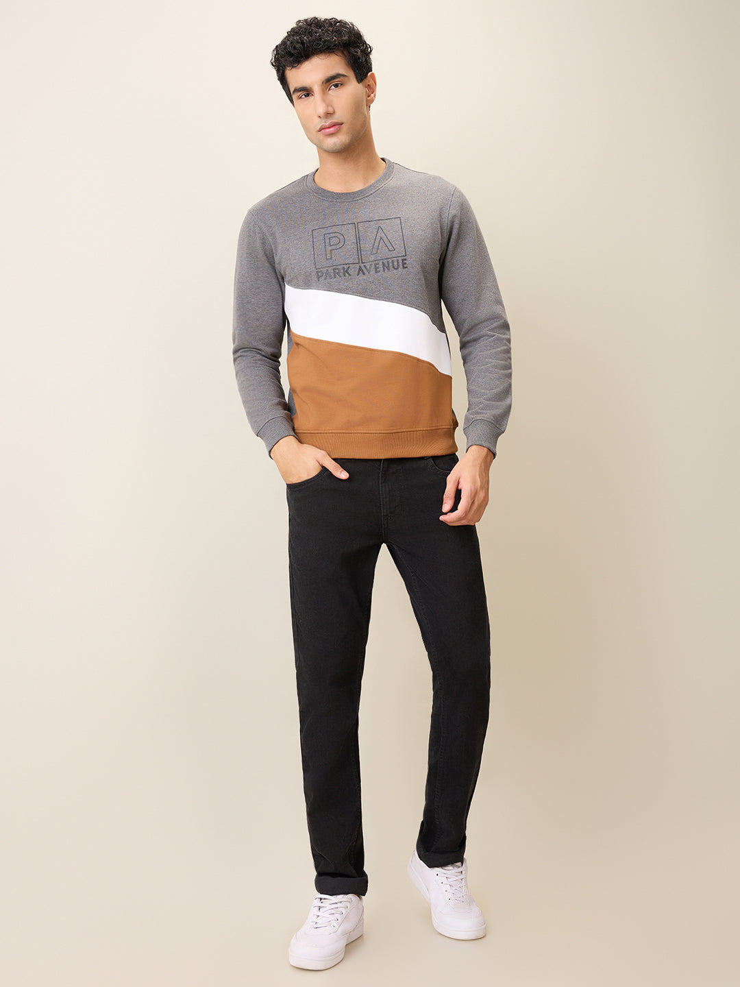 Park Avenue Men Black Cut & Sew Slim Fit Cotton Blend Crew Neck Collar Sweatshirt