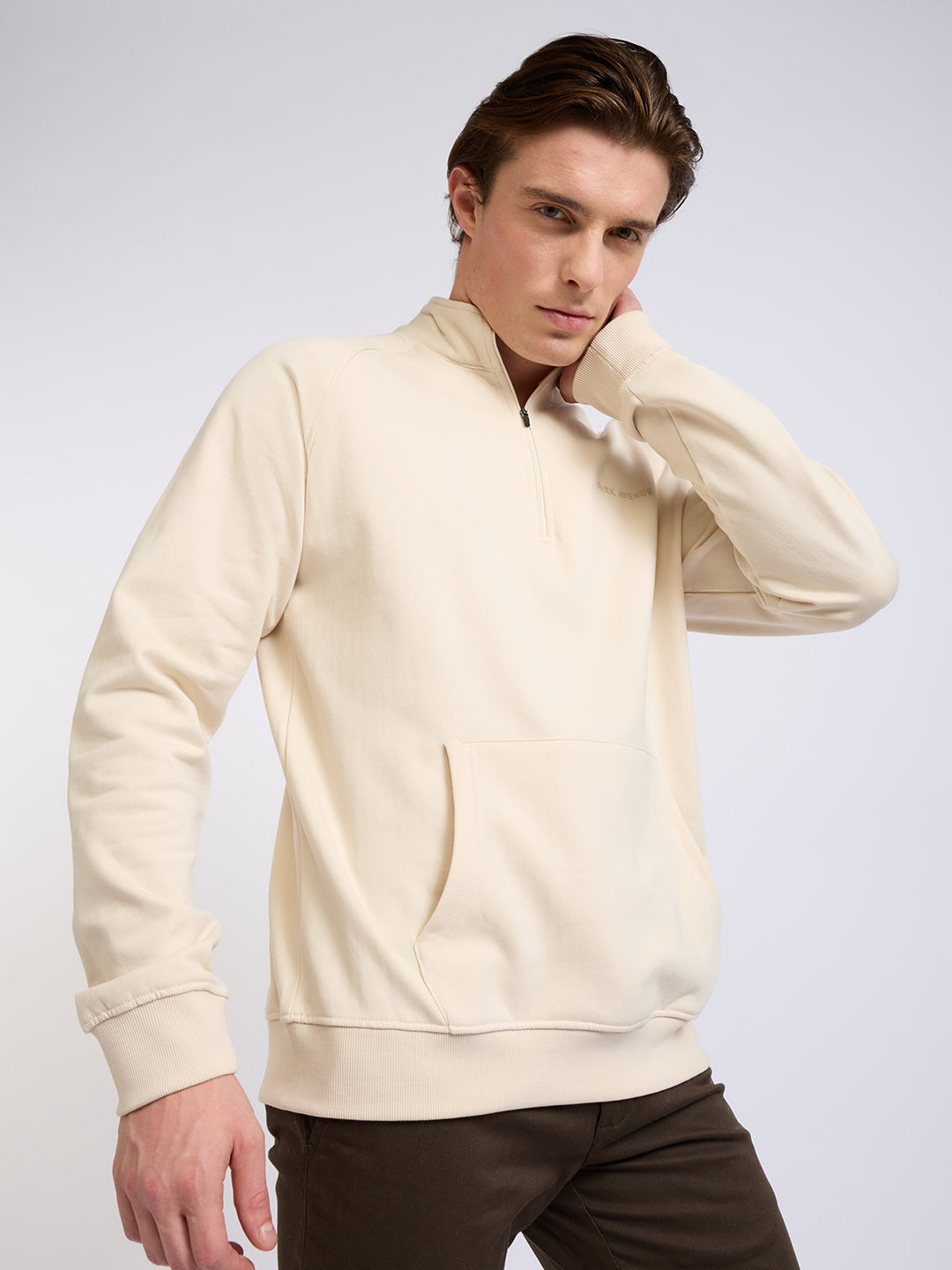 Park Avenue Men Brown Solid Slim Fit Cotton Blend Full Sleeve Sweatshirt
