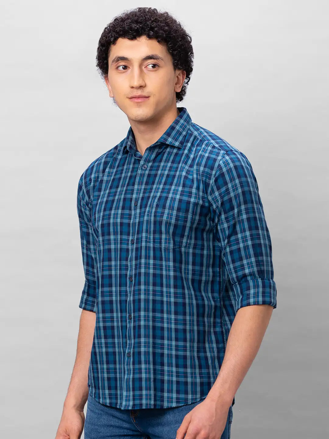 Park Avenue Men Blue Checks Slim Fit Cotton Shirts