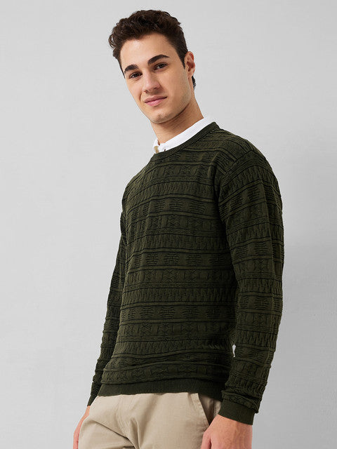 Park Avenue Men Green Solid Regular Cotton Sweater