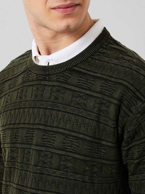 Park Avenue Men Green Solid Regular Cotton Sweater