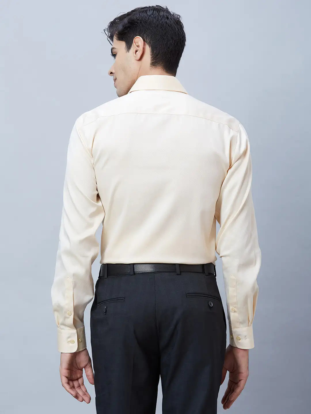 Park Avenue Men Yellow Structured Regular Fit Cotton Formal Shirt