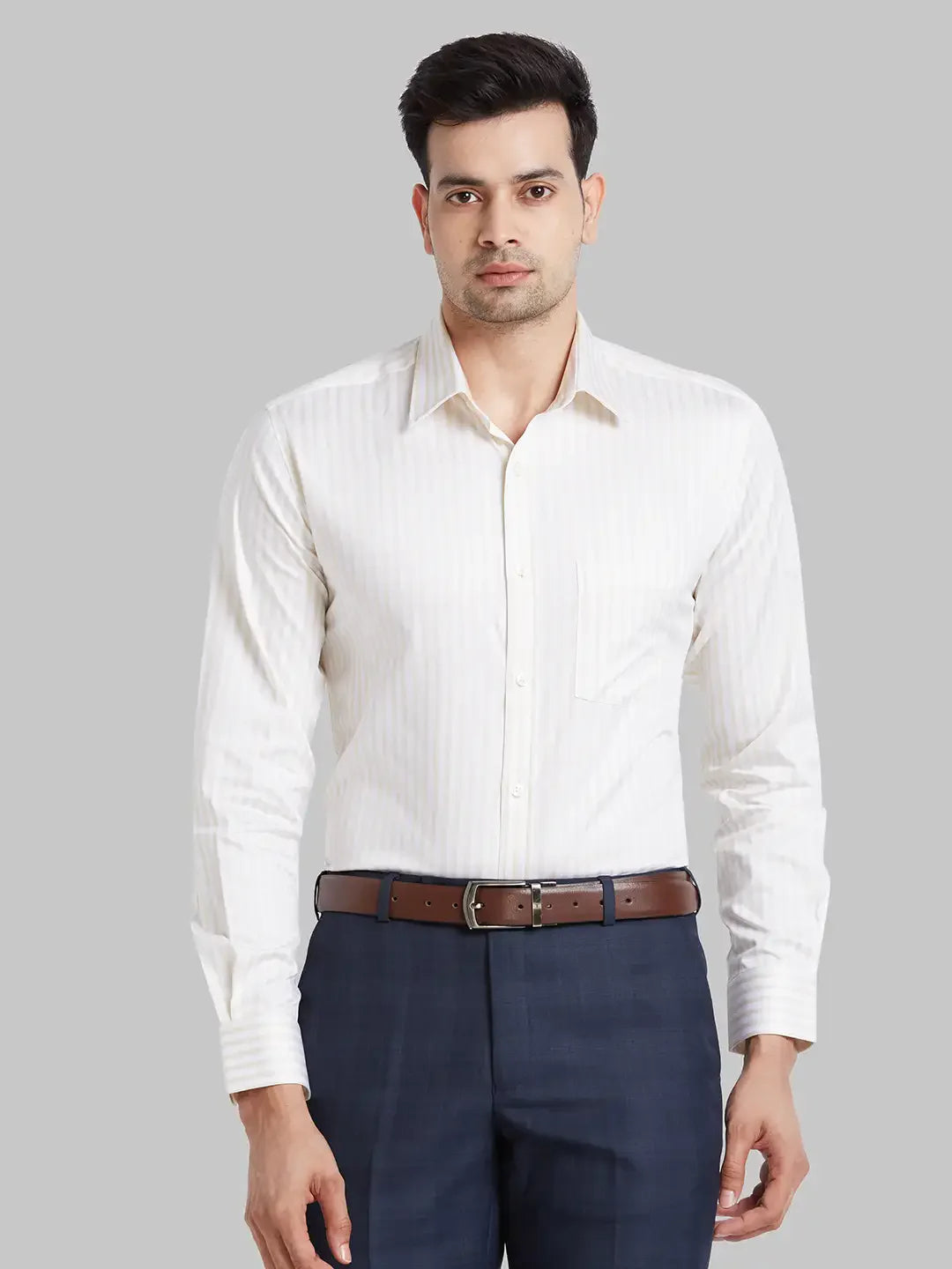 Park Avenue Men Brown Regular Fit Cotton Formal Shirt