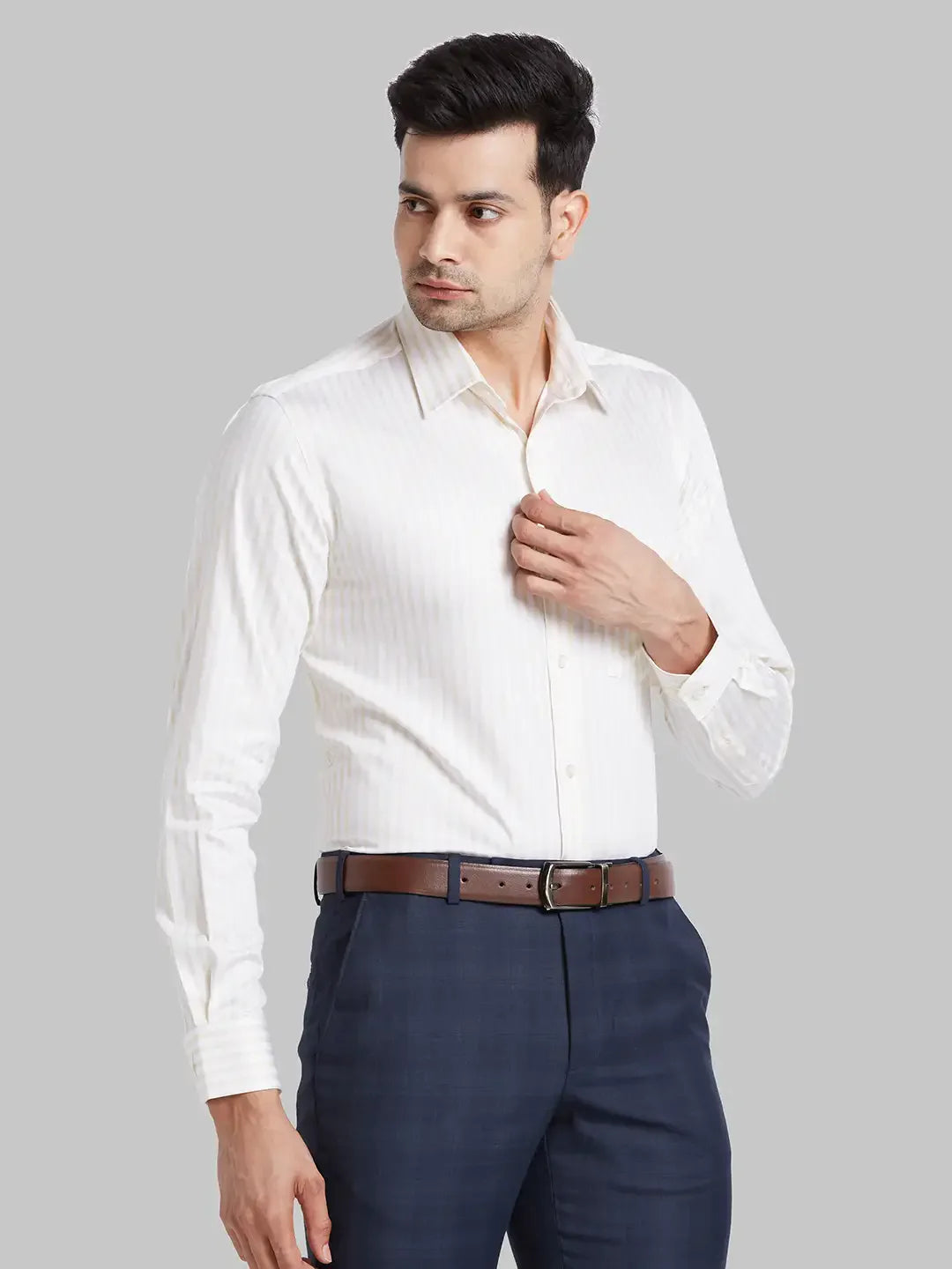 Park Avenue Men Brown Regular Fit Cotton Formal Shirt