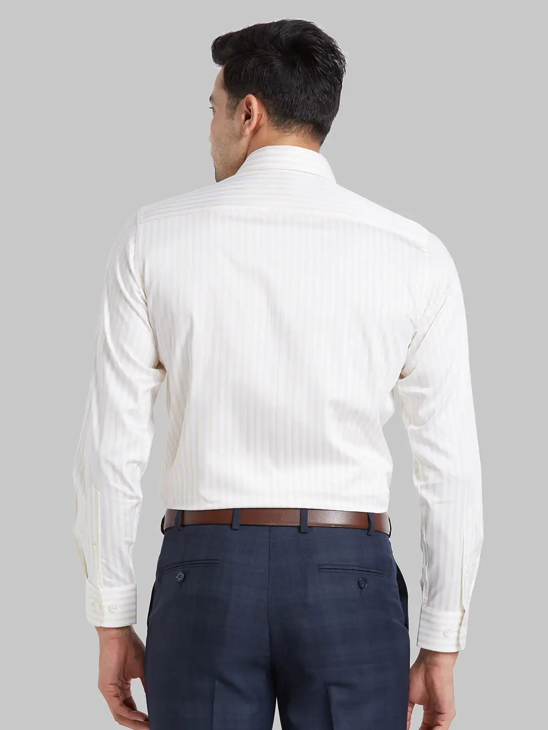 Park Avenue Men Brown Regular Fit Cotton Formal Shirt