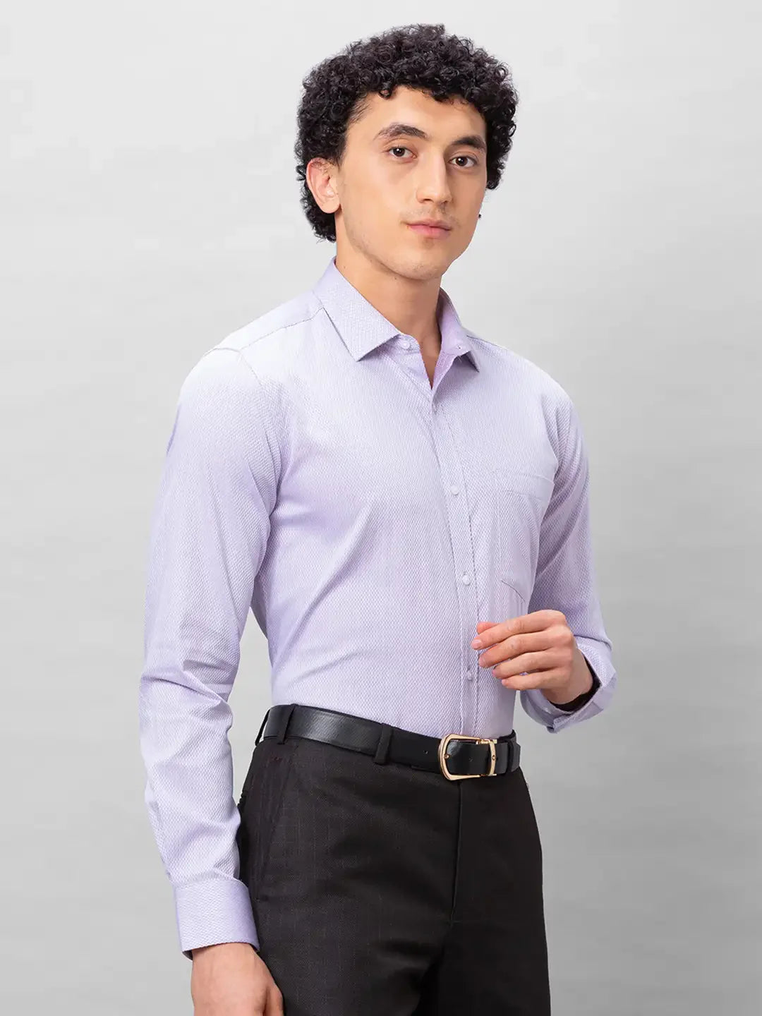 Park Avenue Men Purple Structured Slim Fit Cotton Formal Shirt