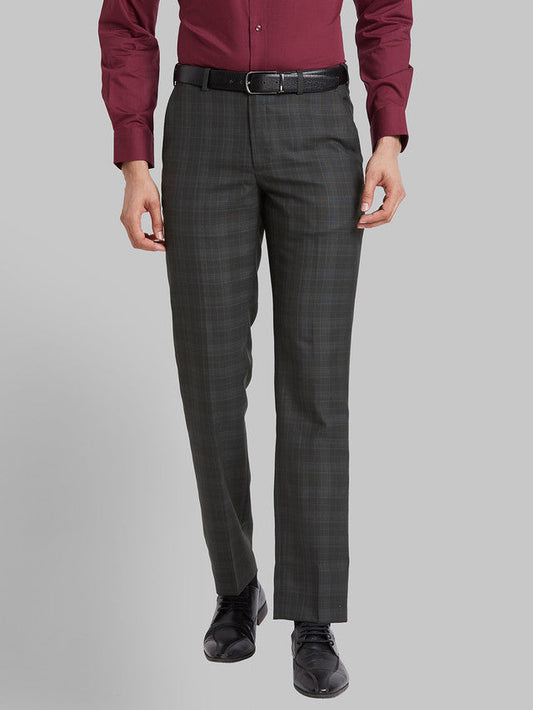 Park Avenue Men Green Checkered Regular Fit Trouser