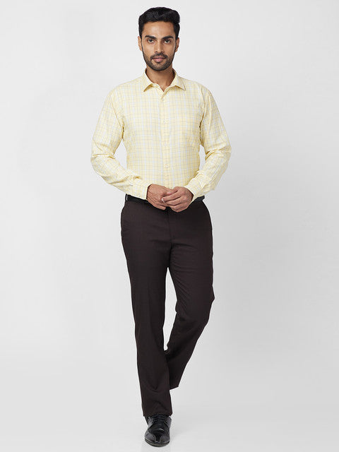 Park Avenue Men Brown Structure Regular Fit Polyester Blend Trouser