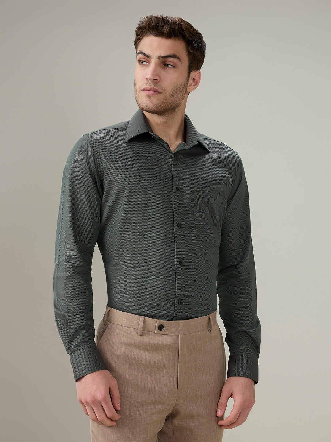 Raymond Men Green Structure Regular Fit Cotton Full Sleeve Formal Shirt