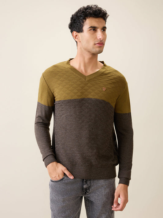 Raymond Men Green Structure Acrylic Full Sleeve V Neck Collar Sweater