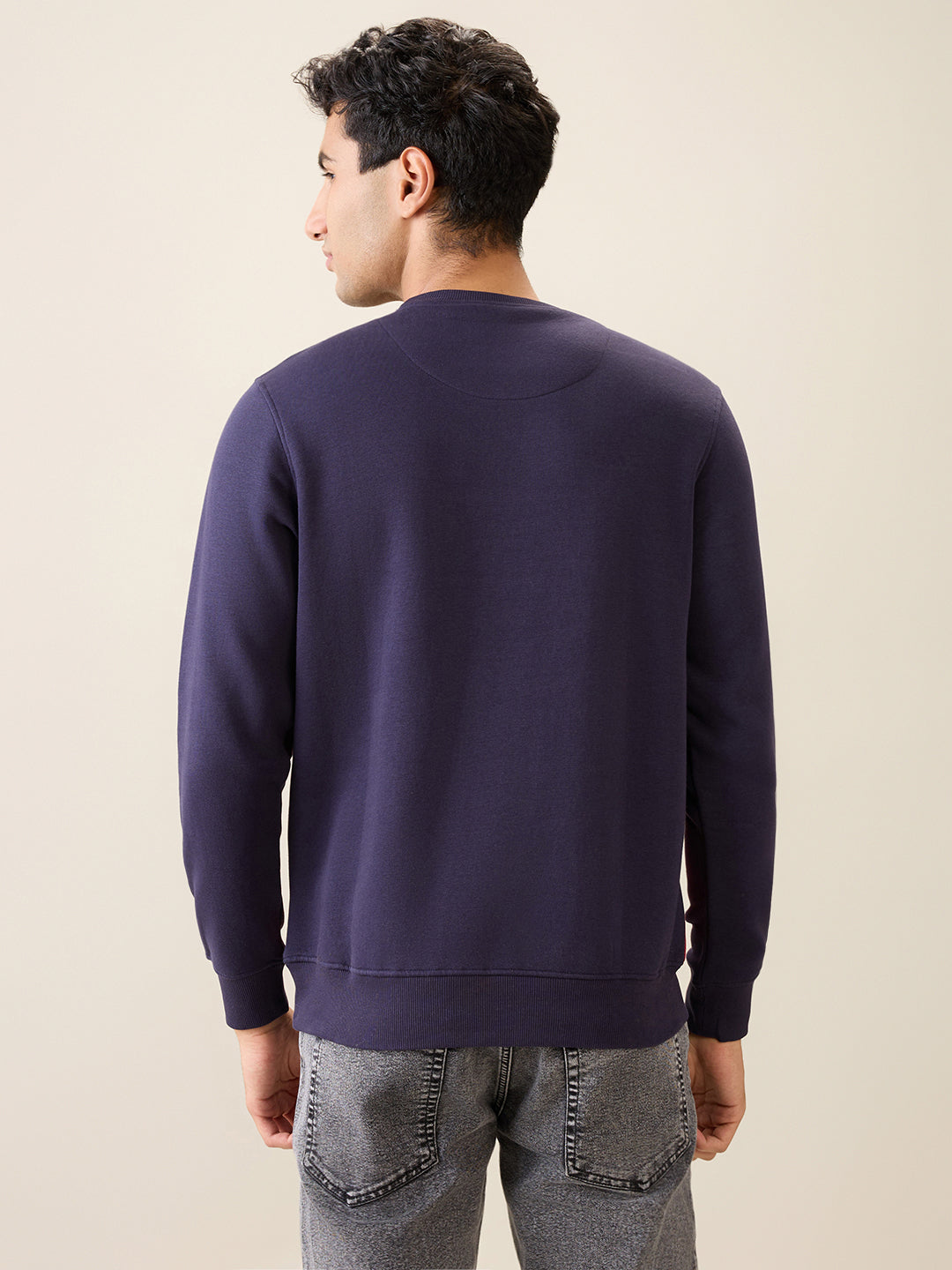 Parx Men Blue Cut & Sew Regular Fit Cotton Blend Full Sleeve Round Neck Collar Sweatshirt