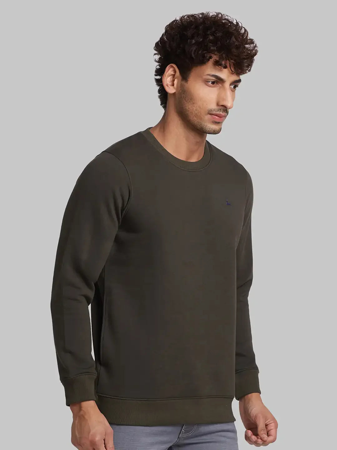 Men Green Regular Fit Solid Cotton Blend Sweatshirts