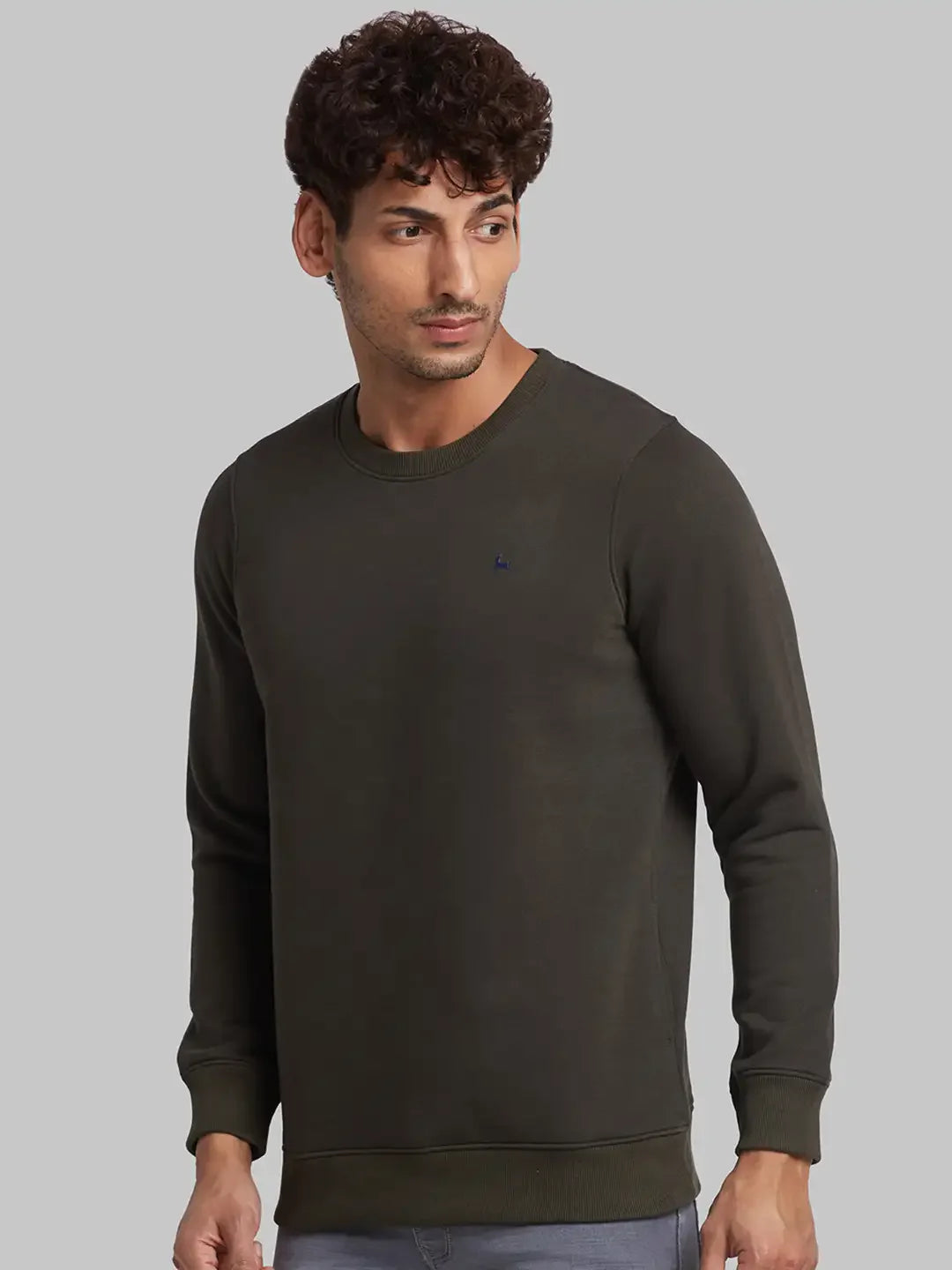 Men Green Regular Fit Solid Cotton Blend Sweatshirts