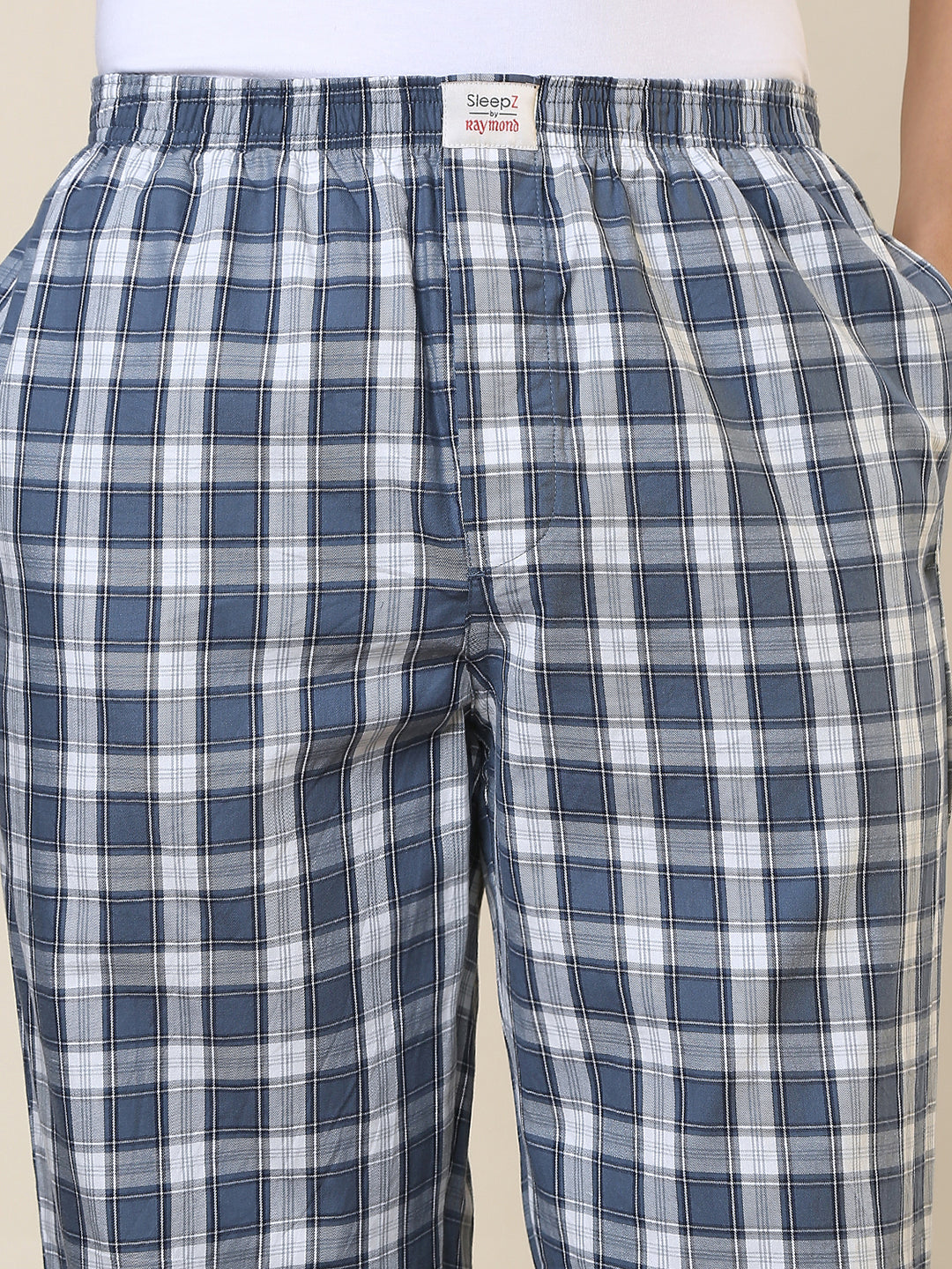 Sleepz Men Blue Checks Regular Fit Cotton Pyjama