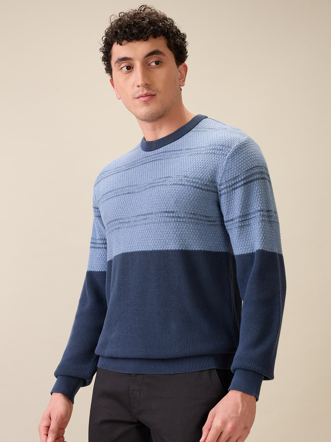 Colorplus Men Grey Jacquard Regular Fit Cotton Full Sleeve Round Neck Collar Sweater