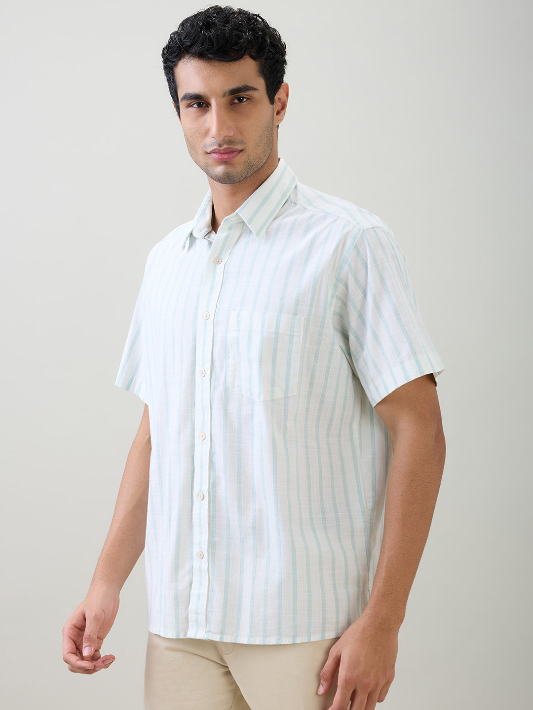 Colorplus Men Brown Stripe Comfort Fit Cotton Half Sleeve Casual Shirt