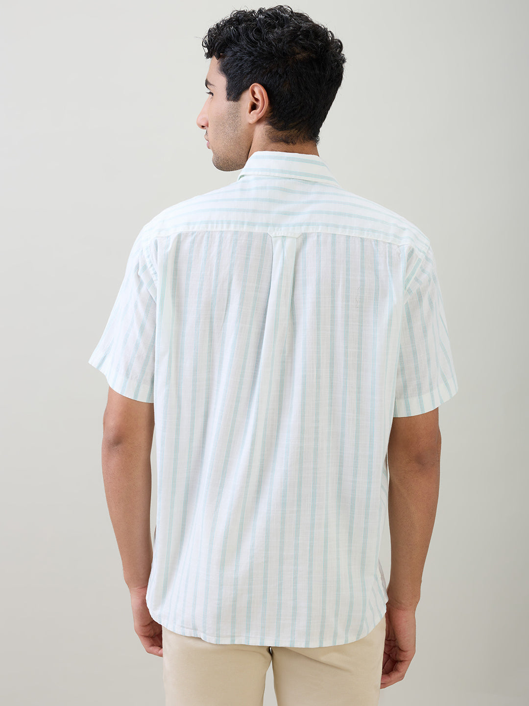 Colorplus Men Brown Stripe Comfort Fit Cotton Half Sleeve Casual Shirt