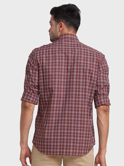 Men Brown Tailored Fit Checks Cotton Full Sleeve Shirts