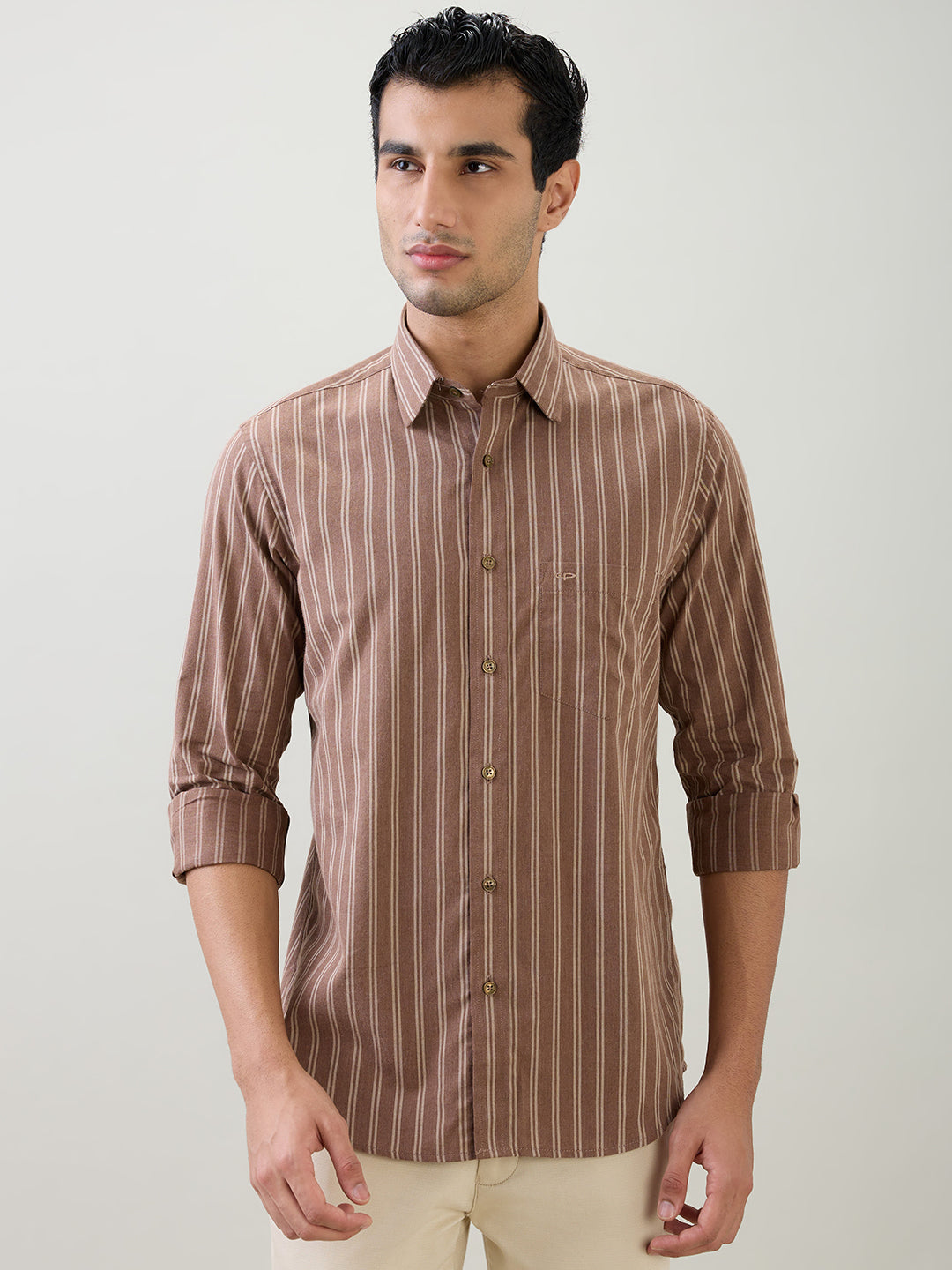 Colorplus Men Brown Stripe Regular Fit Cotton Full Sleeve Casual Shirt