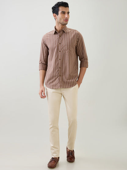Colorplus Men Brown Stripe Regular Fit Cotton Full Sleeve Casual Shirt