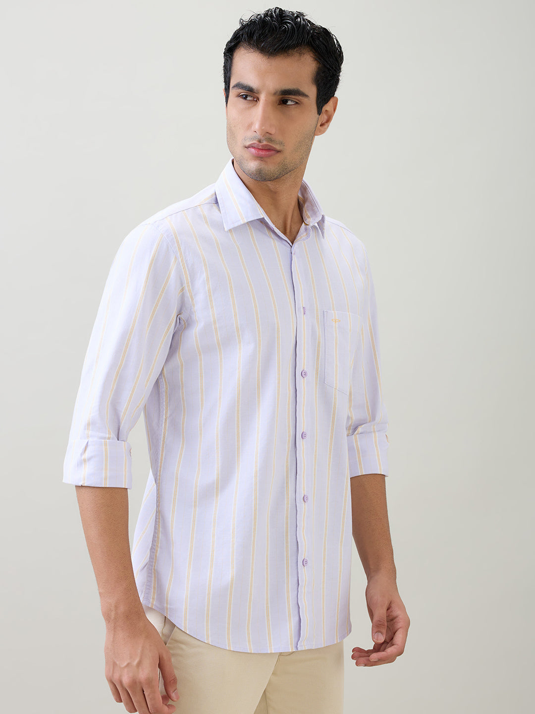 Colorplus Men Purple Stripe Regular Fit Cotton Blend Full Sleeve Casual Shirt