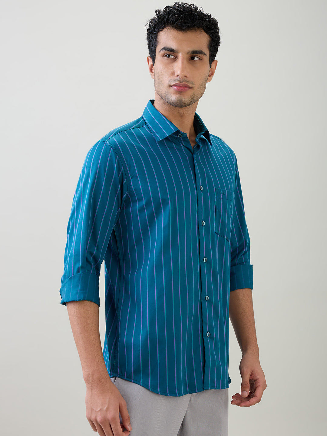 Colorplus Men Blue Stripe Regular Fit Cotton Full Sleeve Casual Shirt