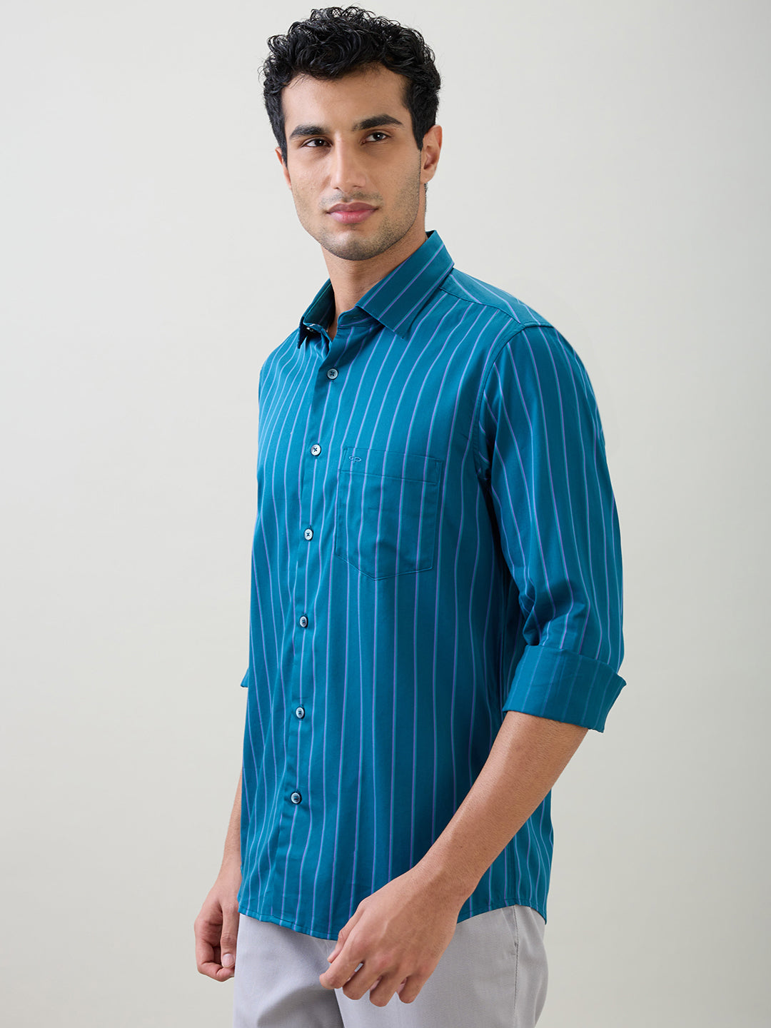 Colorplus Men Blue Stripe Regular Fit Cotton Full Sleeve Casual Shirt