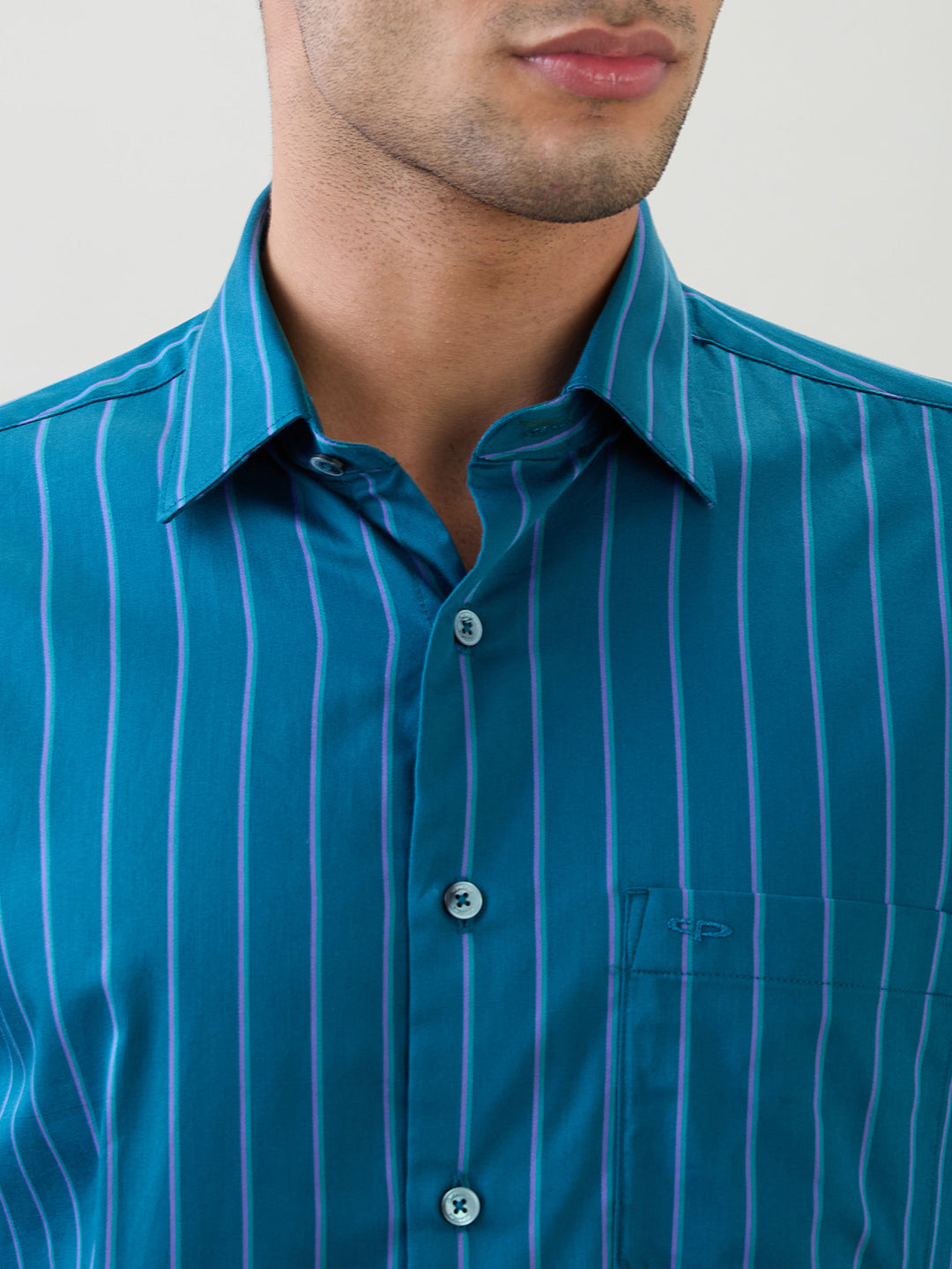 Colorplus Men Blue Stripe Regular Fit Cotton Full Sleeve Casual Shirt