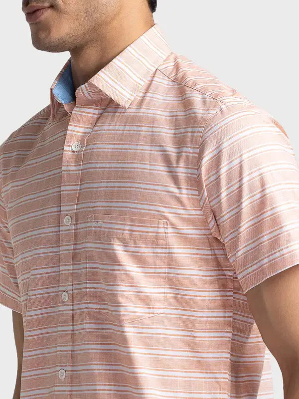 Men Orange Tailored Fit Weft Stripe Cotton Half Sleeve Shirts
